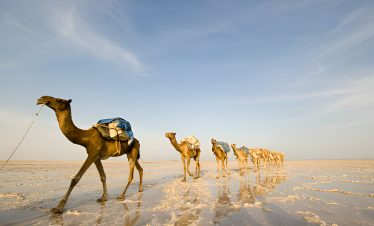 Danakil and Omo Valley Tribes Tour 9 Days