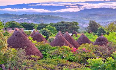 Konso Konta Sycamore Ethiopia Tours