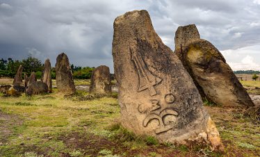 Tiya Stelae Sycamore Ethiopia Tours