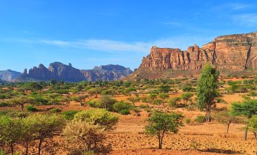 Ghrealta Tigray Green Sycamore Ethiopia Tours