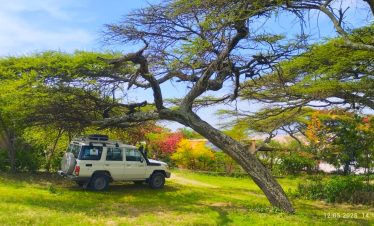 Langano-Lake-Sycamore-Ethiopia-Tours
